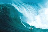 Famous Wave Paintings - Wave Rider